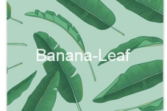 Banana-Leaf