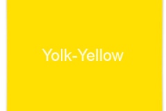 Yolk-Yellow